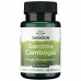 Swanson Garcinia Cambogia 80 mg, 60 капсул CN15247 Swanson