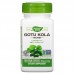 Nature's Way Gotu Kola Herb 950 mg, 100 вегакапсул CN12312 Nature's Way
