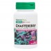 Natures Plus Herbal Actives Chasteberry 150 mg, 60 капсул CN11802 Natures Plus