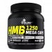 Olimp Sport Nutrition HMB 1250 Mega Caps, 300 капсул CN14649 Olimp Sport Nutrition