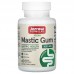 Jarrow Formulas Mastic Gum 1000 mg, 60 капсул CN20187-1 Jarrow Formulas
