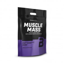 BioTech Muscle Mass, 4 кг - Шоколад BioTech Muscle Mass, 4 кг - Шоколад