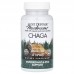 Host Defense Chaga, 60 капсул CN15627 Host Defense