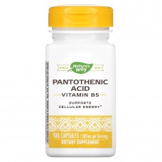 Nature's Way Pantothenic Acid, 100 капсул Nature's Way Pantothenic Acid, 100 капсул