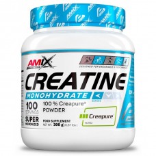 AMIX Performance Creatine Creapure, 300 грамм AMIX Performance Creatine Creapure, 300 грамм
