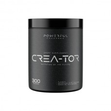 Powerful Progress Crea-Tor Micronized, 300 грамм - Малина