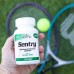 21st Century 21st Century Sentry Multivitamin and Multimineral, 130 таблеток CN3933 