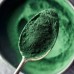 TOP Spirulina, 100 грам CN20243-1 TOP