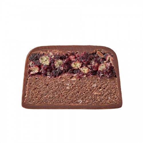 Spacefood Space Bite Protein Bar Chocolate-Cherry, 10*45 грам CN15956 Spacefood Spacefood Space Bite Protein Bar Chocolate-Cherry, 10*45 грам CN15956 Spacefood