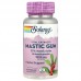 Solaray Mastic Gum, 45 вегакапсул CN20295-1 Solaray